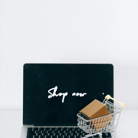 Saleor: An Overview of the E-commerce Platform Builder